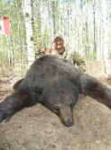 2013 Alberta Black Bear Hunts