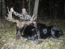 Alberta Moose