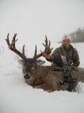 Alberta P&Y Whitetail Deer