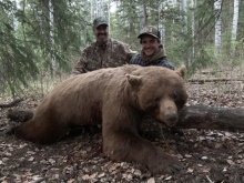 2019 Alberta Black Bear Hunts
