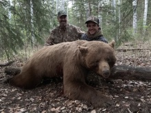 2019 Alberta Black Bear Hunts