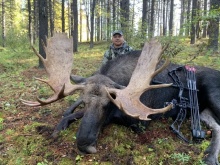 Alberta Moose Bowhunting Pictures