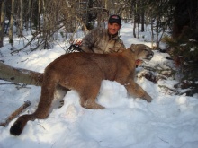 Alberta P&Y Cougar