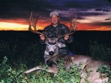 Alberta Mule Deer