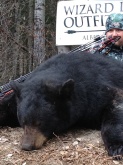 2012 Alberta Black Bear Hunts