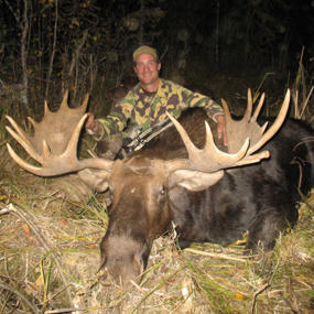 Alberta Moose Hunts