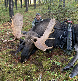 Moose Bowhunting Alberta Canada Wizard Lake Outfitting